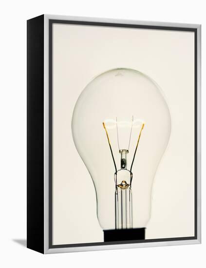 Electric Light Bulb-Lawrence Lawry-Framed Premier Image Canvas