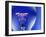 Electric Light Bulb-Lawrence Lawry-Framed Photographic Print