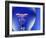 Electric Light Bulb-Lawrence Lawry-Framed Photographic Print