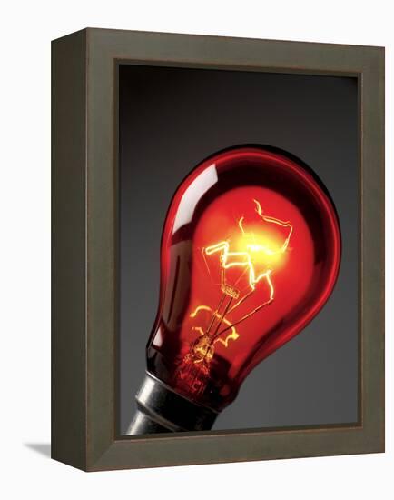 Electric Lightbulb-Tek Image-Framed Premier Image Canvas