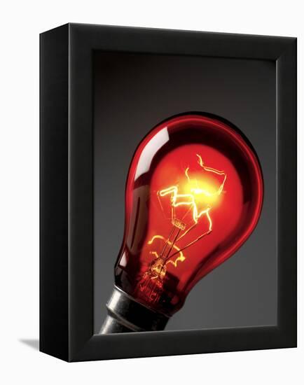 Electric Lightbulb-Tek Image-Framed Premier Image Canvas