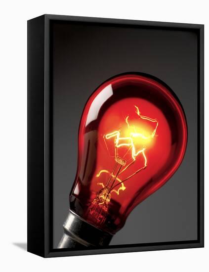 Electric Lightbulb-Tek Image-Framed Premier Image Canvas