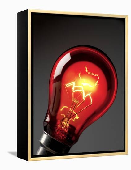 Electric Lightbulb-Tek Image-Framed Premier Image Canvas