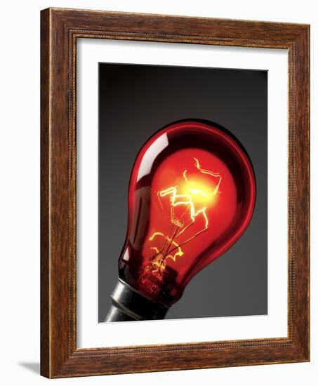 Electric Lightbulb-Tek Image-Framed Photographic Print