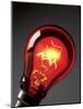 Electric Lightbulb-Tek Image-Mounted Photographic Print