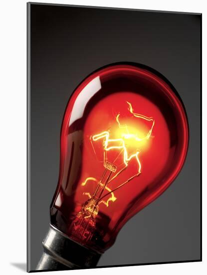 Electric Lightbulb-Tek Image-Mounted Photographic Print