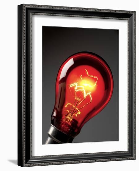 Electric Lightbulb-Tek Image-Framed Photographic Print