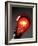 Electric Lightbulb-Tek Image-Framed Photographic Print