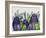 Electric Owls, Purple and Lime-Fab Funky-Framed Art Print