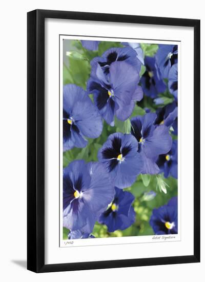 Electric Pansy-Stacy Bass-Framed Giclee Print