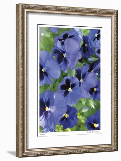 Electric Pansy-Stacy Bass-Framed Giclee Print