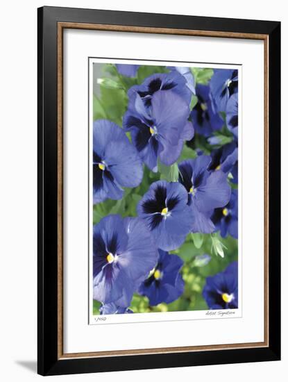 Electric Pansy-Stacy Bass-Framed Giclee Print