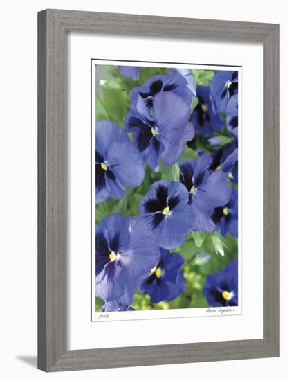 Electric Pansy-Stacy Bass-Framed Giclee Print