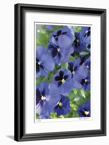 Electric Pansy-Stacy Bass-Framed Giclee Print