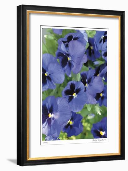 Electric Pansy-Stacy Bass-Framed Giclee Print