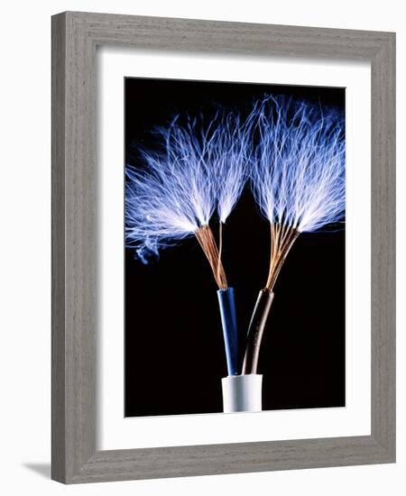 Electrical Wires-Adam Hart-Davis-Framed Photographic Print