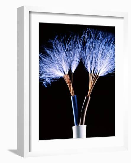 Electrical Wires-Adam Hart-Davis-Framed Photographic Print