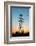 Electricity Pylons at Sunset-Liang Zhang-Framed Photographic Print