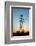 Electricity Pylons at Sunset-Liang Zhang-Framed Photographic Print