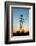 Electricity Pylons at Sunset-Liang Zhang-Framed Photographic Print