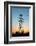 Electricity Pylons at Sunset-Liang Zhang-Framed Photographic Print