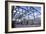 Electricity Substation-Mark Williamson-Framed Photographic Print