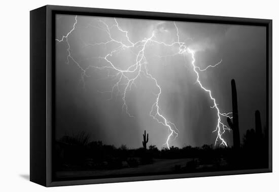 Electrifying BW-Douglas Taylor-Framed Stretched Canvas