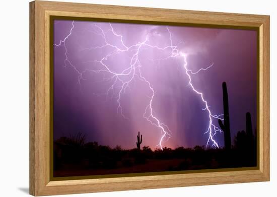 Electrifying-Douglas Taylor-Framed Stretched Canvas