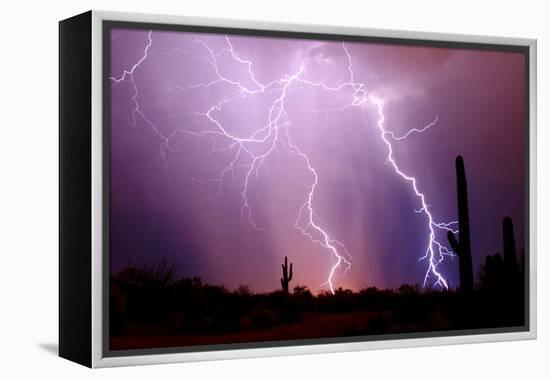 Electrifying-Douglas Taylor-Framed Stretched Canvas