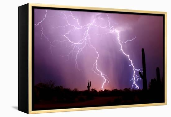 Electrifying-Douglas Taylor-Framed Stretched Canvas