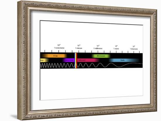 Electromagnetic Spectrum, Artwork-Equinox Graphics-Framed Photographic Print