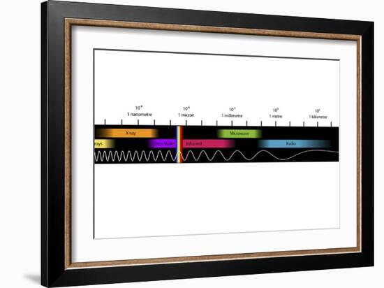 Electromagnetic Spectrum, Artwork-Equinox Graphics-Framed Photographic Print