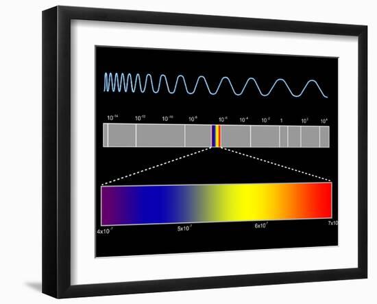 Electromagnetic Spectrum-SEYMOUR-Framed Photographic Print