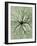 Electron Flow-Eric Heller-Framed Photographic Print