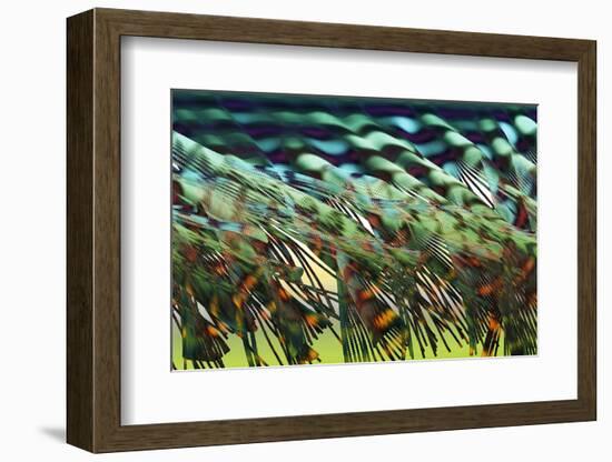 Electron Flow-Eric Heller-Framed Photographic Print