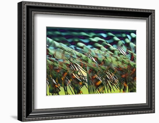 Electron Flow-Eric Heller-Framed Photographic Print