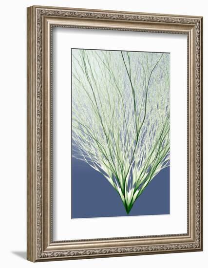 Electron Flow-Eric Heller-Framed Photographic Print