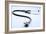 Electronic Stethoscope-Tim Vernon-Framed Photographic Print