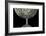 Electrostatic Discharge-Crown-Framed Photographic Print