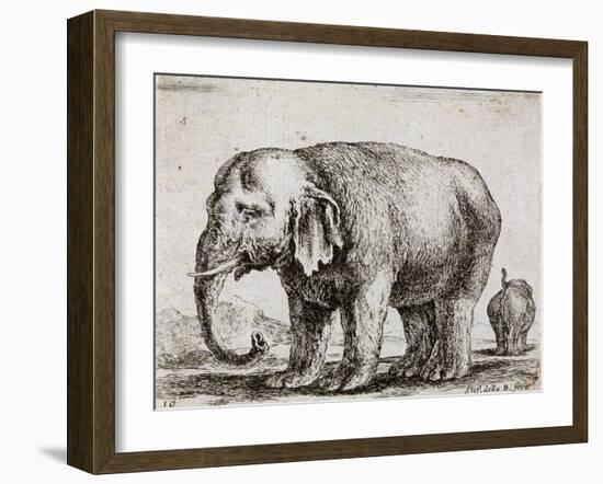 Elefant. 1641-Stefano Della Bella-Framed Giclee Print
