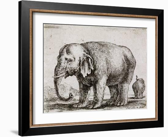 Elefant. 1641-Stefano Della Bella-Framed Giclee Print