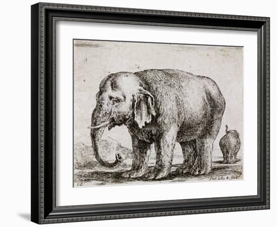 Elefant. 1641-Stefano Della Bella-Framed Giclee Print