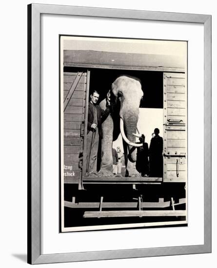 Elefant Mit Tierhüter Am Eingang Des Eisenbahnwaggons-null-Framed Giclee Print