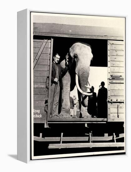 Elefant Mit Tierhüter Am Eingang Des Eisenbahnwaggons-null-Framed Premier Image Canvas