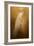 Elegance in Gold-Jai Johnson-Framed Giclee Print