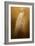 Elegance in Gold-Jai Johnson-Framed Giclee Print