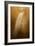 Elegance in Gold-Jai Johnson-Framed Giclee Print