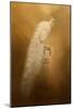 Elegance in Gold-Jai Johnson-Mounted Giclee Print