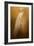 Elegance in Gold-Jai Johnson-Framed Giclee Print