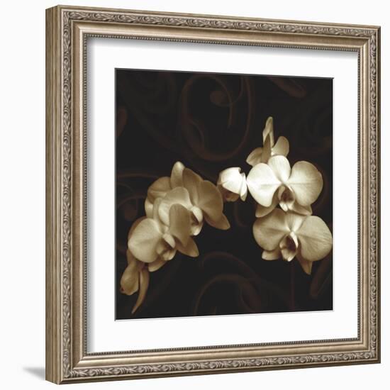 Elegance-Ily Szilagyi-Framed Art Print